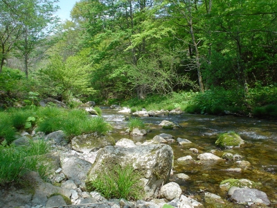 中津川の川沿い