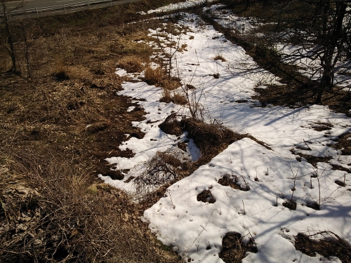 繋発電所跡　放水口