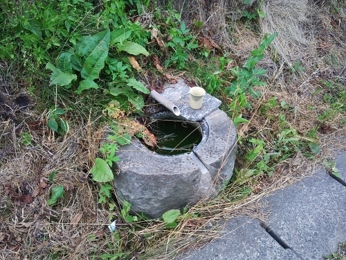 盛岡競馬場　湧水清水