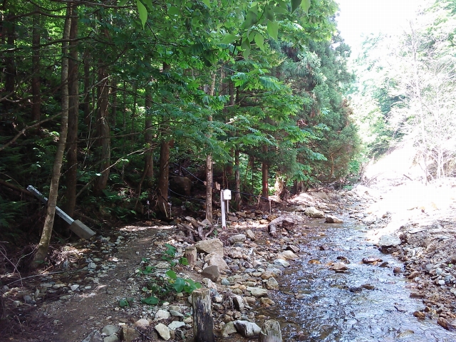 豪雨後の秋津神社湧水