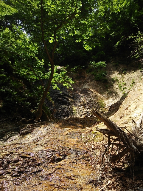 紫波町、大白沢滝