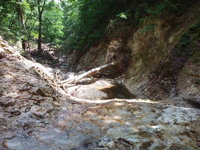 大白沢滝手前
