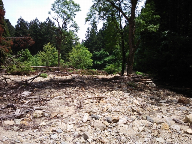 豪雨後の秋津神社